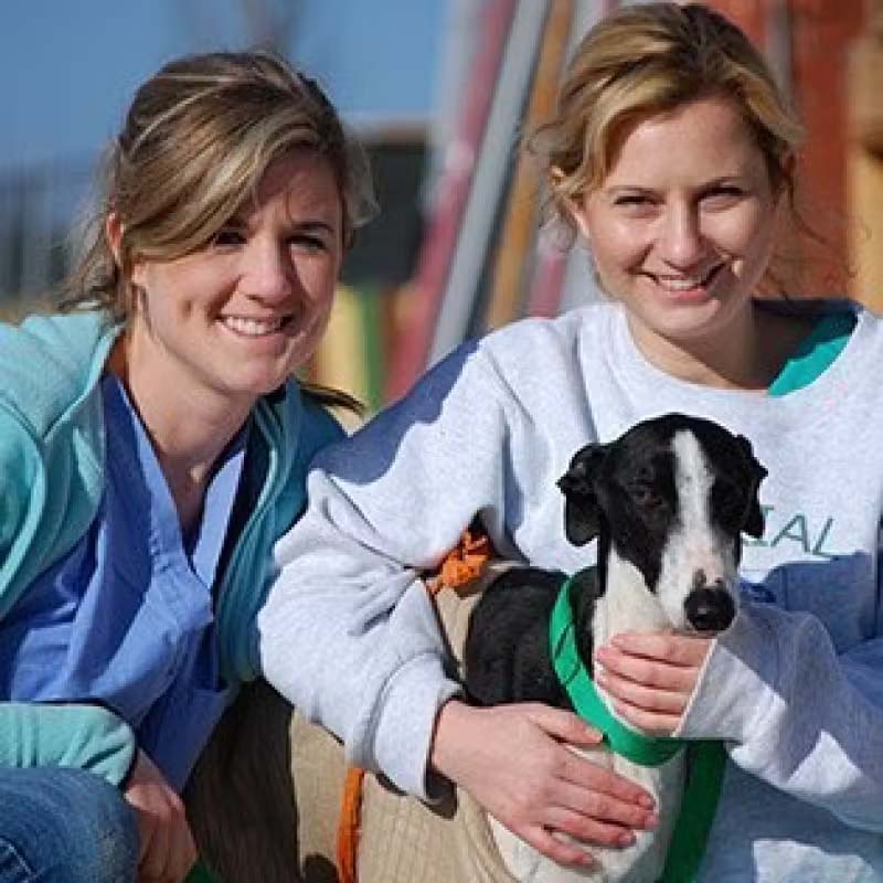 Greyhound Health Initiative staff members holding sighthound