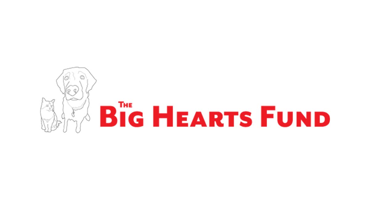 Big Hearts Fund logo