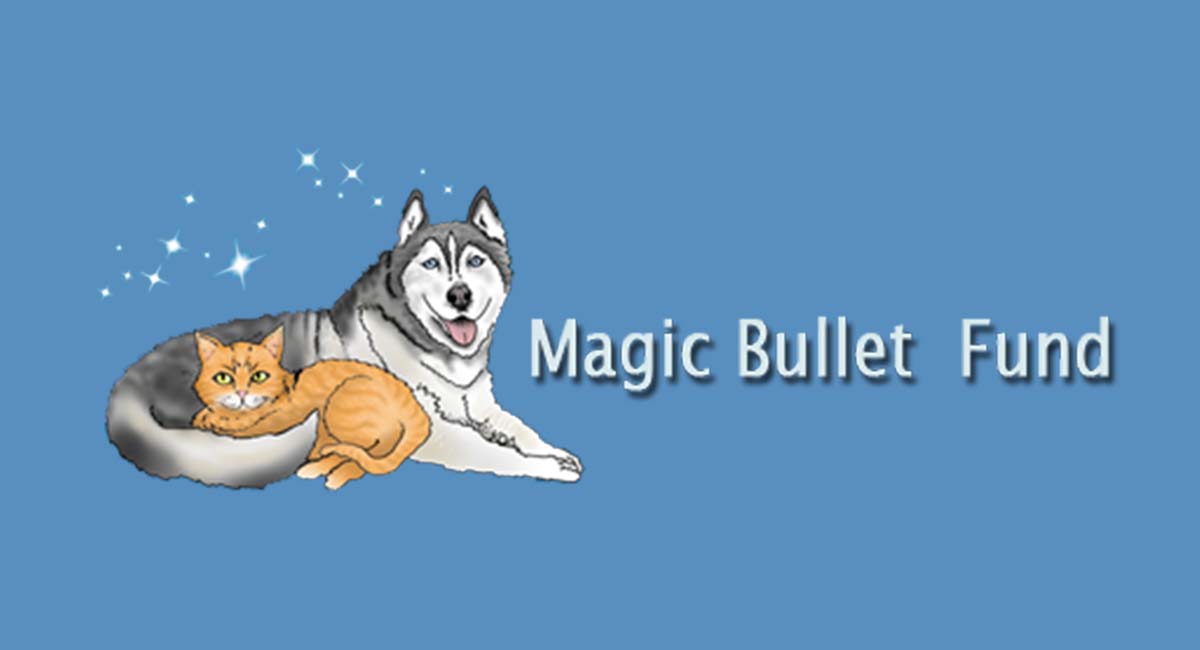 Magic Bullet Fund logo