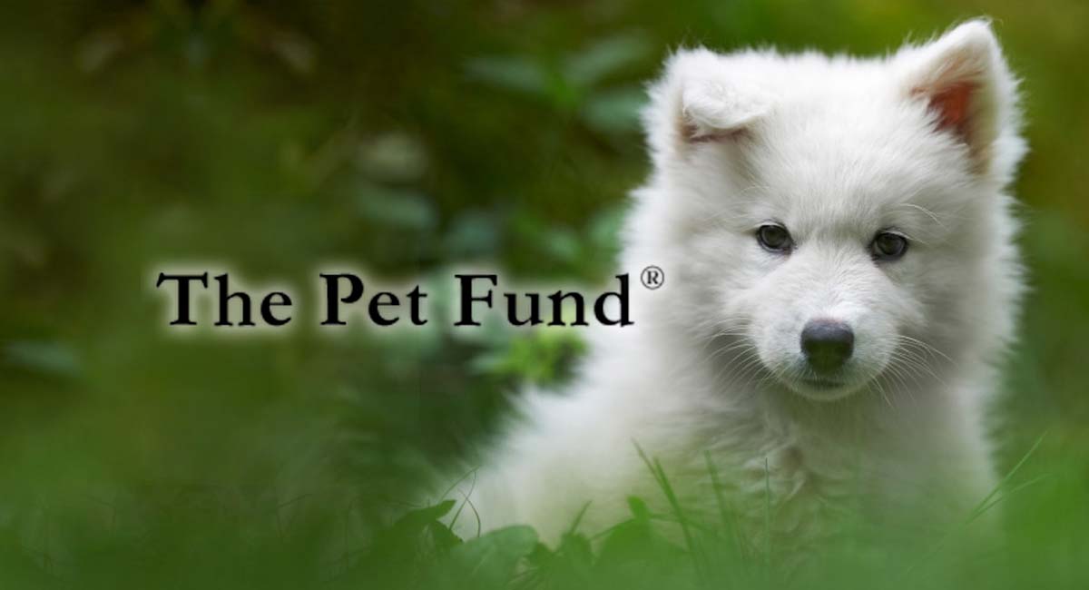 The Pet Fund logo