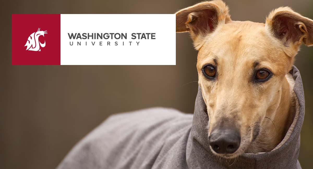 Washington State University DEPOHGEN Testing Sighthounds