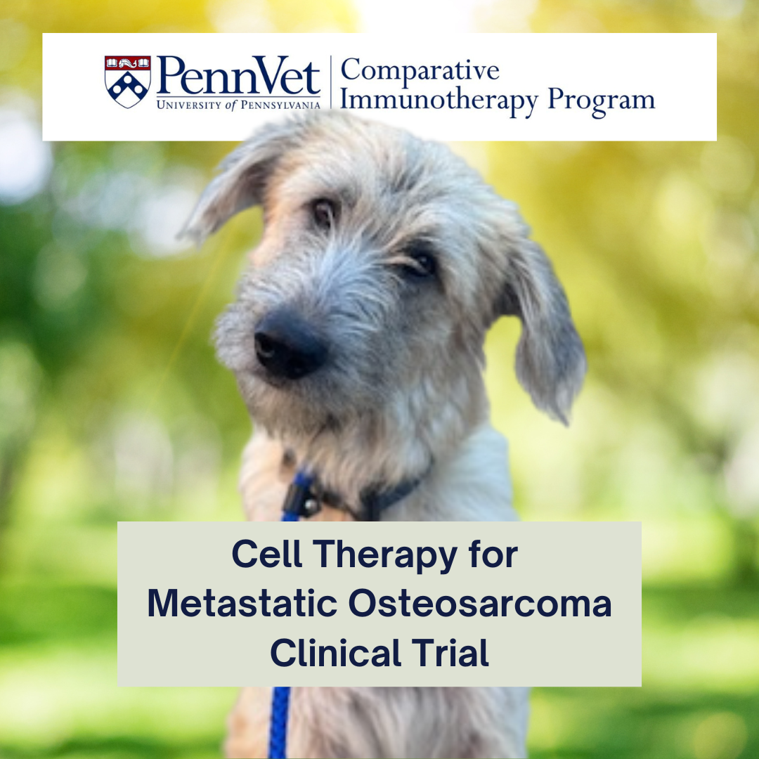 Metastatic OSA clinical trial info