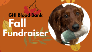 fall fundraiser ghi blood bank