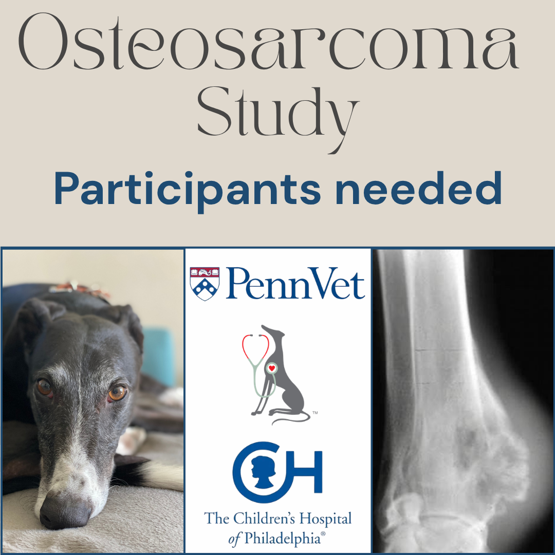 OSA Research tissue study mason